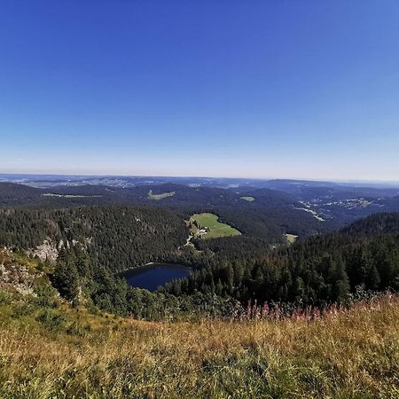 Fewo 1 - Residenz Schauinsland - Mit Sauna, E-Ladestation, Todtnauberg, Bei Feldberg Extérieur photo