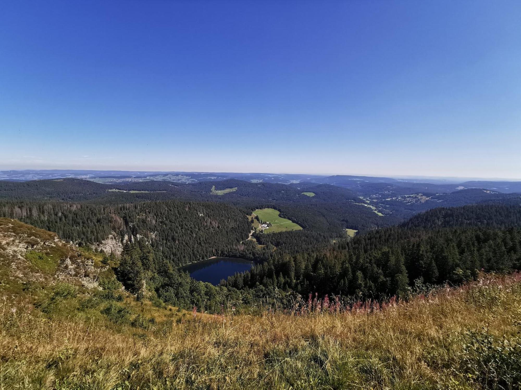 Fewo 1 - Residenz Schauinsland - Mit Sauna, E-Ladestation, Todtnauberg, Bei Feldberg Extérieur photo